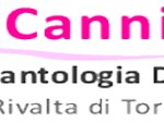 cannizzo studio