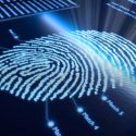 Digital Forensics: cos’è l’informatica forense